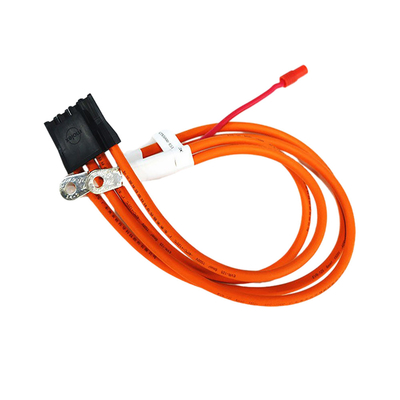 Ev 25mm Assemblage van de Machtskabel, OEM van de Machtskoorden van de Energieaccu